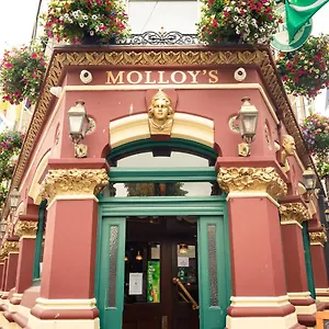 book here